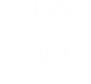 Festiwal Filmu Niemego