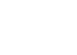 THE AIRPORT SOCIETY